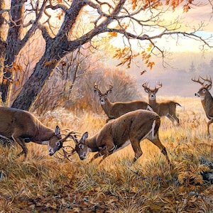 May include: A painting of four deer in a forest setting. Two bucks are locked in a fight, while the other two deer watch from a distance. The scene is set in a forest with trees and foliage in the background. The painting is done in a realistic style with a focus on detail.