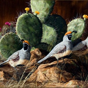 May include: Three quail birds perched on rocks in a desert landscape. The birds are brown, gray, and white with orange markings on their heads. The background features a prickly pear cactus with green pads and yellow flowers.