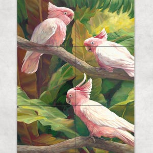 ceramic tile mural art accent backsplash decorative medallion. Wild pink parrots, cockatoos Parakeet in forest. morning conversation