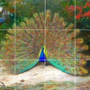ceramic tile mural backsplash medallion kitchen, outdoor. butterfly peacock fanning feathers flowers garden. wildlife. nature.