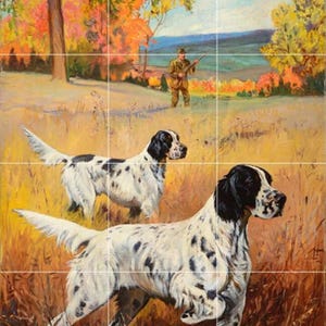 May include: Two English Springer Spaniels run through a field of tall grass. The dogs are white with black spots. The background shows a hunter with a rifle in a wooded area with fall foliage.