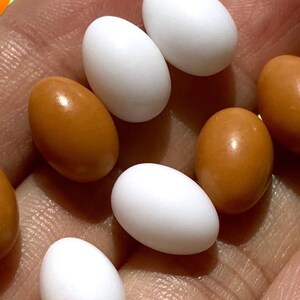 May include: A collection of small, smooth eggs in white and brown colors. The eggs are arranged in a hand, with some overlapping.