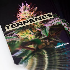 Ensemble éducatif de cartes-éclair sur le cannabis - 84 cartes sur les mauvaises herbes sur les cannabinoïdes, les terpènes, les flavonoïdes et la science végétale pour les débutants et les amateurs