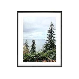 Larrabee State Park 4, Washington, Digital Download, Wall Art, Photography
