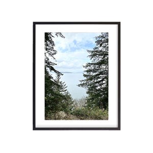 Larrabee State Park 3, Washington, Digital Download, Wall Art, Photography
