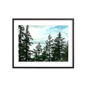 Larrabee State Park 2, Washington, Digital Download, Wall Art, Photography