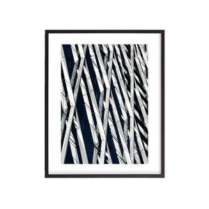 8X On The Park Facade, Vancouver, British Columbia, Canada, Digital Download, Wall Art, Photography