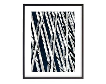 8X On The Park Facade, Vancouver, British Columbia, Canada, Digital Download, Wall Art, Photography