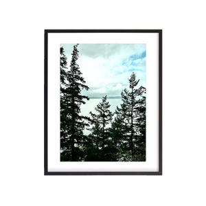 Larrabee State Park 1, Washington, Digital Download, Wall Art, Photography