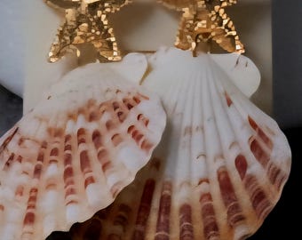 Orecchini a forma di stella marina/conchiglia