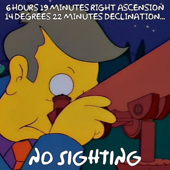 NO SIGHTING Simpsons Shirt, the Simpsons T-shirt, the Simpsons Tshirt -  Etsy Australia