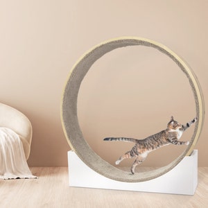 Crazy Cat Lady Personalized Gift Cat Mom Gift Cat Wheel Exercise Cat Toy Exercise Wheel Running Cat Furniture Cute Cat Tree Cat Window Perch