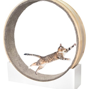 Cat Wheel Exercise Cat Toy Cat Exercise Wheel Cat Running Wheel Cute Cat Furniture Cat Treadmill Wheel Pet Toy Cat Tree Cat Window Perch Cat image 5