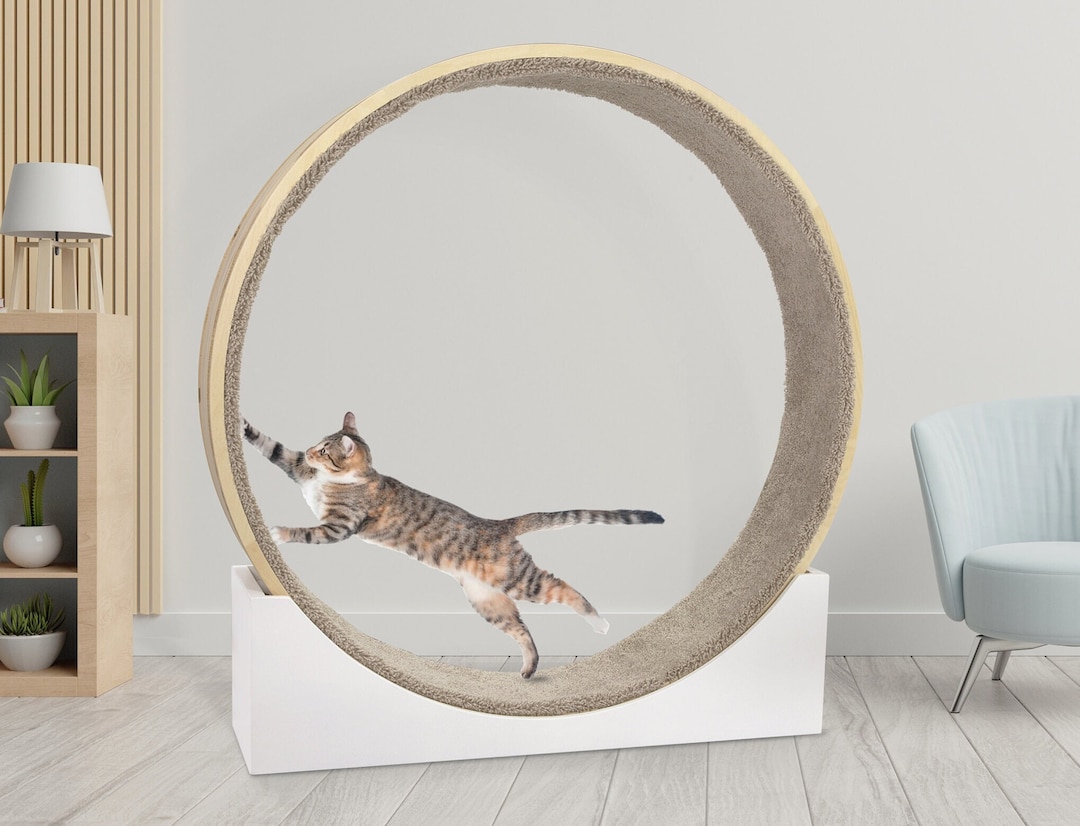 Cat Wheel Exercise Cat Toy Cat Exercise Wheel Cat Running Wheel Cute Cat  Furniture Cat Treadmill Wheel Pet Toy Cat Tree Cat Window Perch Cat