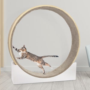 Cat Wheel Exercise Cat Toy Cat Exercise Wheel Cat Running Wheel Cute Cat Furniture Cat Treadmill Wheel Running Wheel Cute Pet Toy Dog Toy