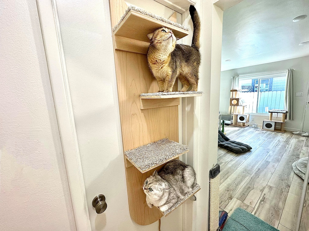 Door Cat Tree Cat Door Hanging Shelf Cat Climbing Tree Cat Bed Cat Furniture Cat Shelf Wall Cat