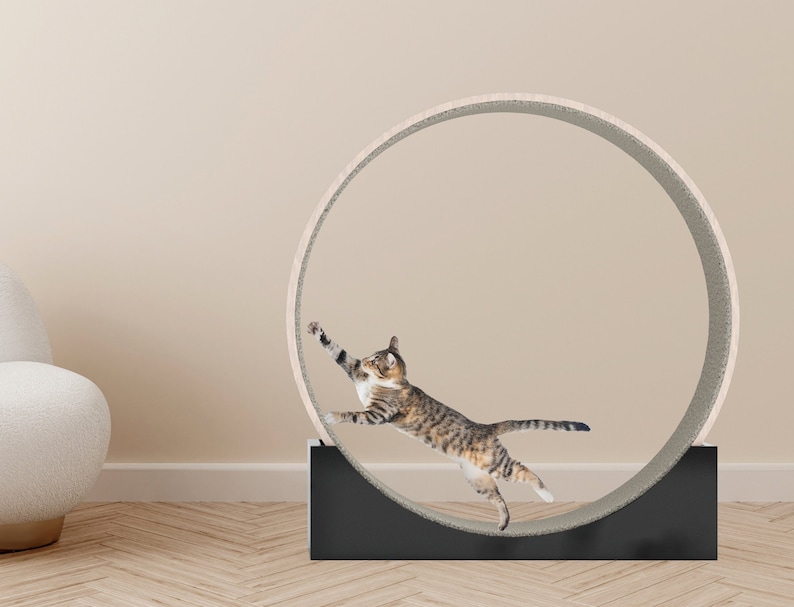 Cat Wheel Exercise Cat Toy Cat Exercise Wheel Cat Running Wheel Cute Cat Furniture Cat Treadmill Wheel Pet Toy Cat Tree Cat Window Perch Cat image 3