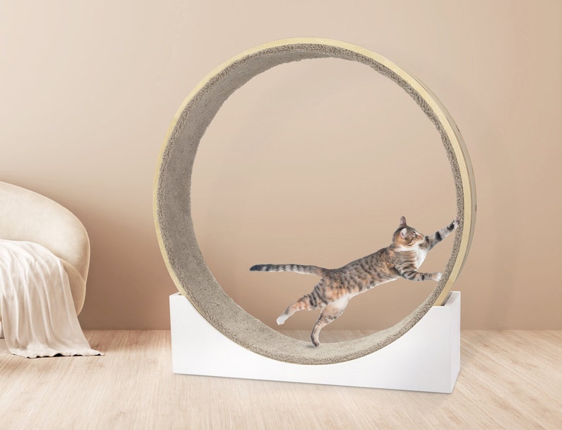 Cat Wheel Exercise Cat Toy Cat Exercise Wheel Cat Running Wheel Cute Cat Furniture Cat Treadmill Wheel Running Wheel Cute Pet Toy Dog Toy