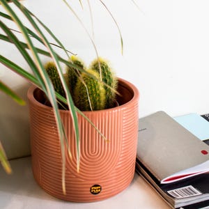 Terracotta Plant Pot: RetroGold Ceramic Jardinier with 3D Spiral