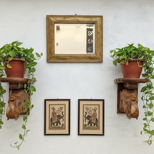 Coppia di mensole vintage in legno intagliato a forma di elefante: applique rustiche indiane da parete.
