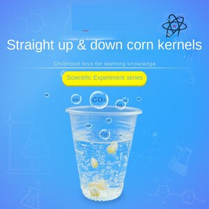 May include: A clear plastic cup filled with water and yellow corn kernels. Bubbles are rising from the kernels, labeled "CO2". The text "Straight up & down corn kernels" and "Scientific Experiment series" is visible on a blue background.