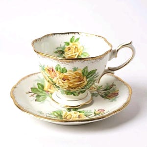 Vintage Royal Albert Tea Rose Footed Cup and Saucer