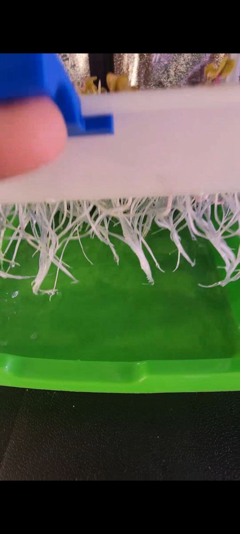 Reusable Microgreen Grow Mats / Reusable Microgreen Grow Medium