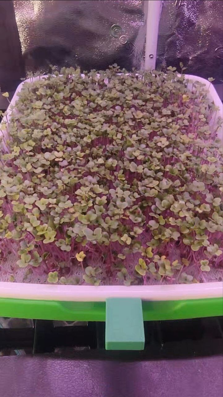 Reusable Microgreen Grow Mats / Reusable Microgreen Grow Medium