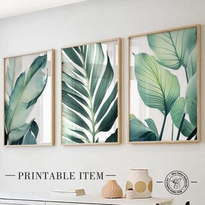 Grüne tropische Palmenblätter 3er Set. Natur Wandkunst Set