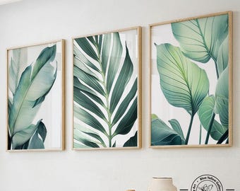 May include: Three framed prints of green tropical leaves on a white background. The prints are in wooden frames and are arranged in a row on a white wall.