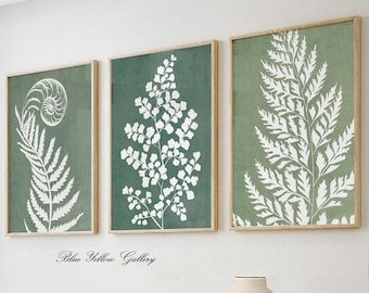 Sage green tropical wall art set of 3 prints. Botanical fern pastel gallery wall art. Abstract modern nature wall art, large apartment decor