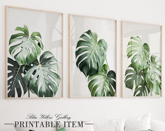 May include: Three framed prints of tropical monstera leaves in shades of green against a white background. The prints are arranged in a row and have a simple wooden frame.