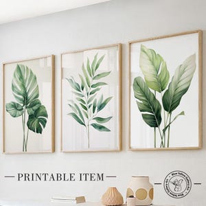 Grüne tropische Palmenblätter 3er Set. Natur Wandkunst Set