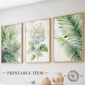 Puede incluir: Tres impresiones de acuarela enmarcadas que presentan ilustraciones botánicas. Las impresiones son de estilo minimalista con un fondo blanco y presentan una hortensia, una hoja de palmera y una hoja tropical.