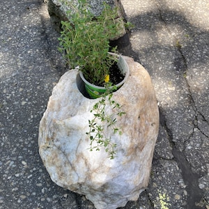 Varios soportes para plantas de 2" y 4" pulgadas - Piedras naturales únicas con orificios de drenaje