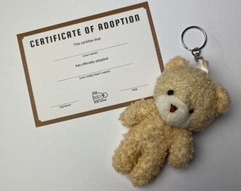 Adopt a teddy bear keyring with cirtificate for schools children adults gift
