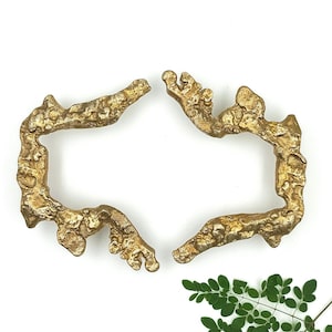 Puede incluir: Dos marcos decorativos de color dorado, de forma orgánica. Los marcos tienen una superficie texturizada y están colocados sobre un fondo blanco. Una ramita de hojas verdes está en la esquina inferior derecha.