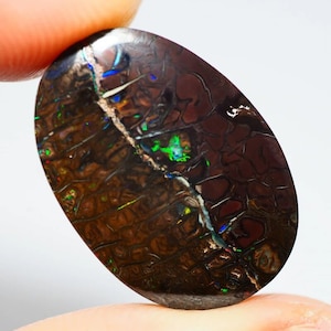 Koroit Australian Boulder Opal - 17.8 Ct - Collectible stone or multi color jewelry