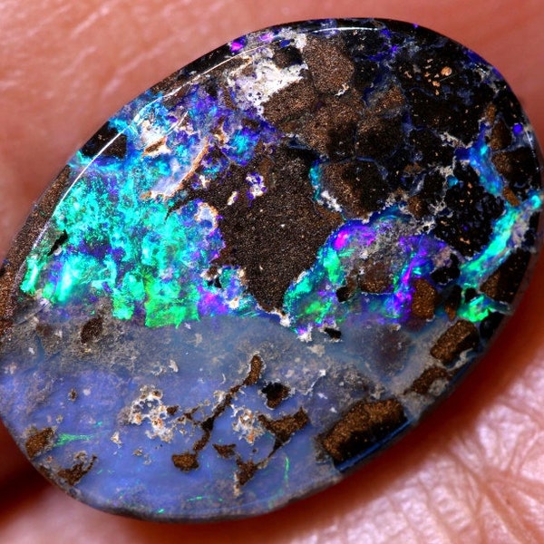 Opale Boulder Australienne de Queensland - 3,8 Carats - Cabochon ovale pour bijoux