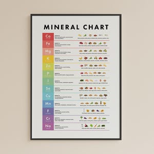 Mineralengrafiek afdrukbare spiekbriefje, gids essentiële vitaminesupplementen, voedingsfeitenlijst, gezonde voeding, instant digitale download