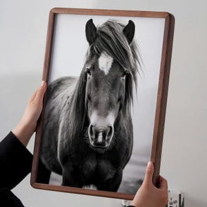 May include: Black and white framed print of a horse. The horse has a long mane and a white marking on its forehead. The frame is made of dark wood. The image is held by two hands.