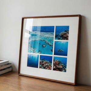 May include: A square wooden frame containing a collage of six underwater photographs. The images display vibrant coral reefs, deep blue ocean water, and a sea turtle swimming. The frame features a white mat board separating each individual photo.