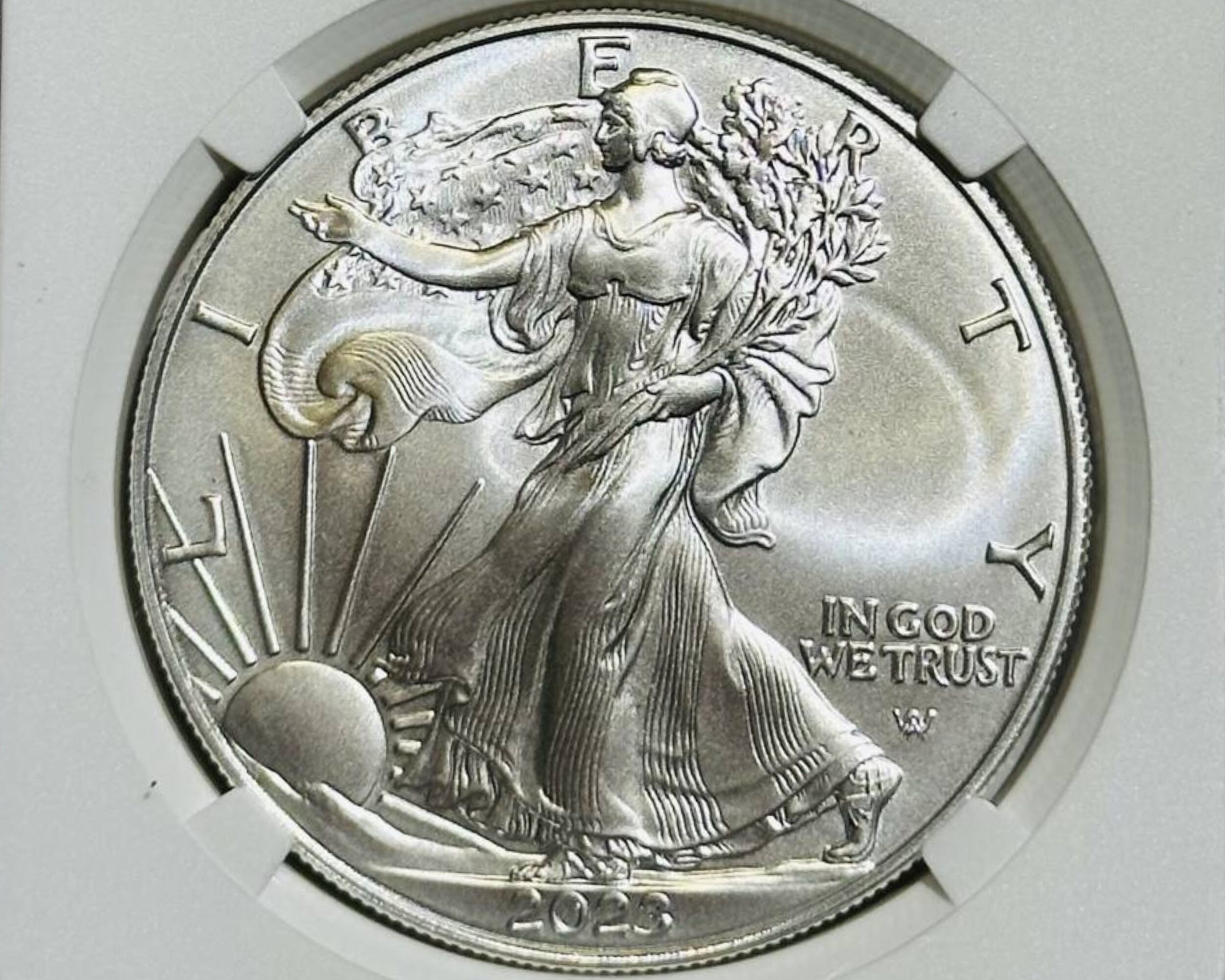 2023 American Silver Eagle 1oz 999 Silver Plating Coin - Etsy