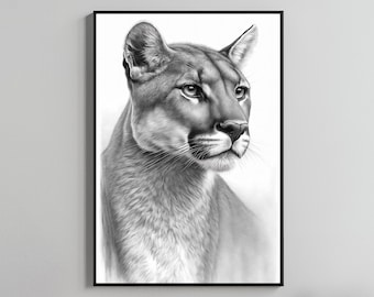 May include: Black and white framed print of a cougar. The artwork features a detailed pencil drawing of the cougar's head and upper body, showcasing its fur texture and facial features. The cougar is depicted in a three-quarter view, with a focused gaze.