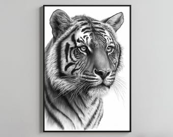 Puede incluir: Lámina artística enmarcada en blanco y negro que representa la cabeza de un tigre. El detallado dibujo a lápiz resalta el pelaje, los rasgos faciales y la mirada intensa del tigre. La obra de arte se presenta sobre un fondo blanco, acentuando el contraste y el enfoque en el animal.