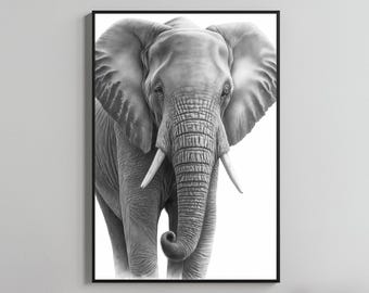 Puede incluir: Impresión en blanco y negro enmarcada de un elefante. El elefante está representado de frente, con prominentes colmillos. La obra de arte es un dibujo a lápiz detallado, que destaca la piel texturizada y las grandes orejas del elefante. El fondo es blanco.