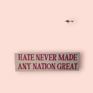 Hate Never Made Any Nation Great Car Decal / Bumper Sticker