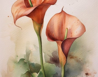 Watercolor Orange Cala Lily Flowers | Original Watercolor Botanical Prints of Cala Lilies | Digital Print | Download