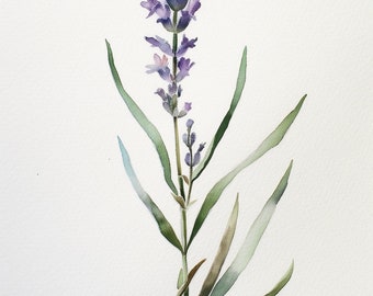 Minimal Lavender Sprig - Original Watercolor Botanical Print | Digital Print | Download