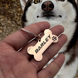 Médaille d'identification pour chien Médaille d'identification personnalisée pour chien Médaille d'identification pour chien Médaille de collier de chien Médaille pour chien personnalisée Médaille d'identité en os pour chien